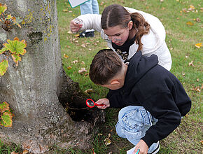 Agrandir l'image (fenêtre modale)