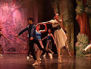 Agrandir l'image (fenêtre modale)