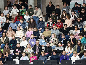 Agrandir l'image (fenêtre modale)