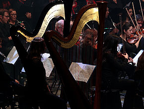 Agrandir l'image (fenêtre modale)