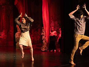 Agrandir l'image (fenêtre modale)