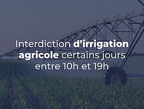 Agrandir l'image (fenêtre modale)