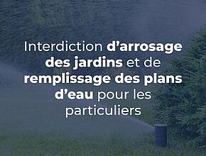 Agrandir l'image (fenêtre modale)