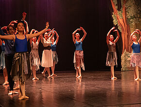 Agrandir l'image (fenêtre modale)