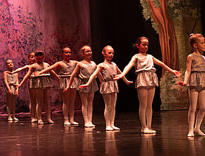 Agrandir l'image (fenêtre modale)