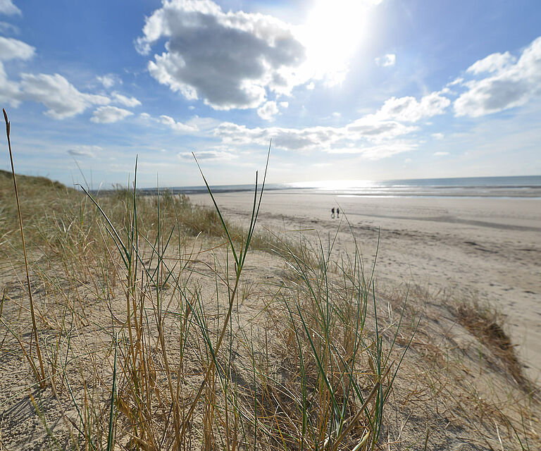 dune et plage