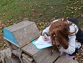 Agrandir l'image (fenêtre modale)